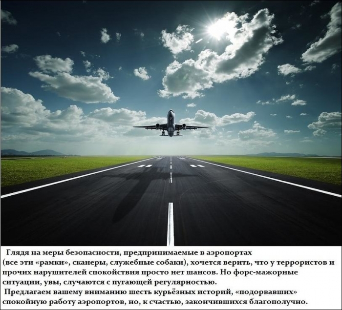 Шесть курьезных историй о нарушении безопасности в аэропортах