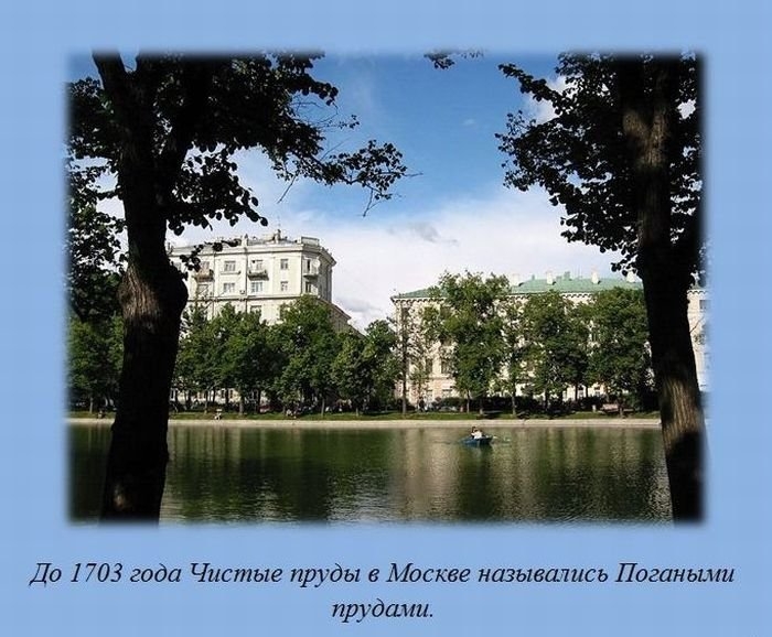 Немного интересных фактов в картинках