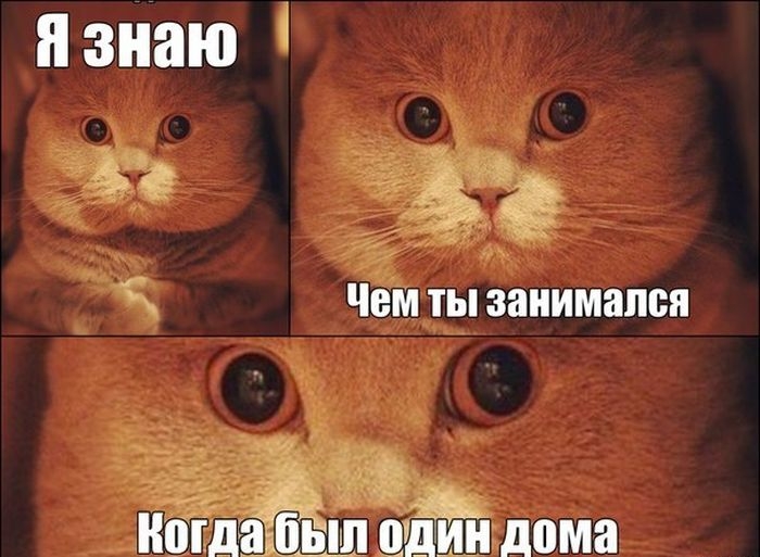 Забавные комиксы