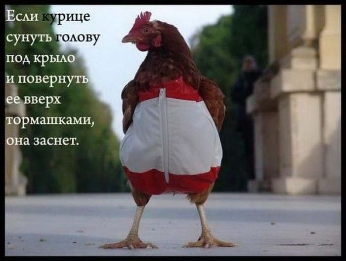 Интересные и познавательные факты