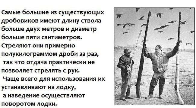 Гигантский дробовик для заядлых охотников.