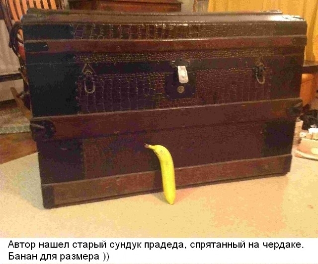 Прадедовский сундук с чердака пролежал более 60 лет