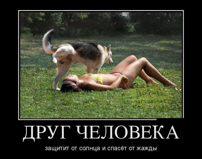 Классные демотиваторы