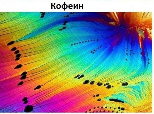 Обыденные предметы под микроскопом