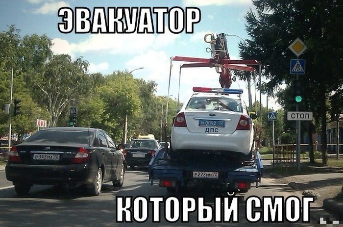 Прикольная фотоподборка