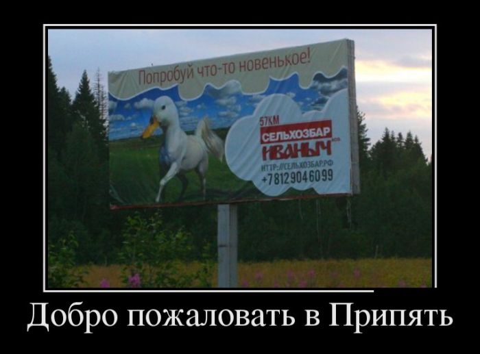 Демотиваторы со смыслом