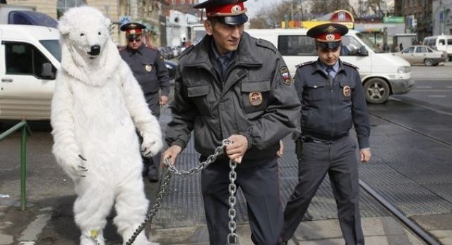 Добро пожаловать в Россию