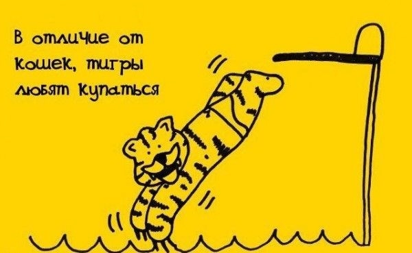 Интересные мини-факты обо всем на свете
