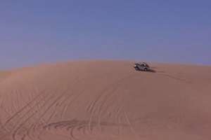 Быстрая Амфибия
