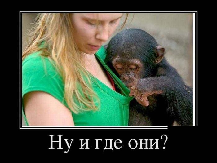 Прикольные демотиваторы