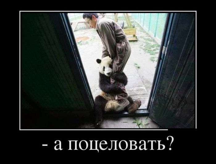 Классные демотиваторы со смыслом