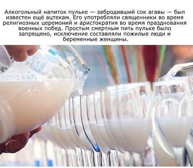 Факты для любителей выпить