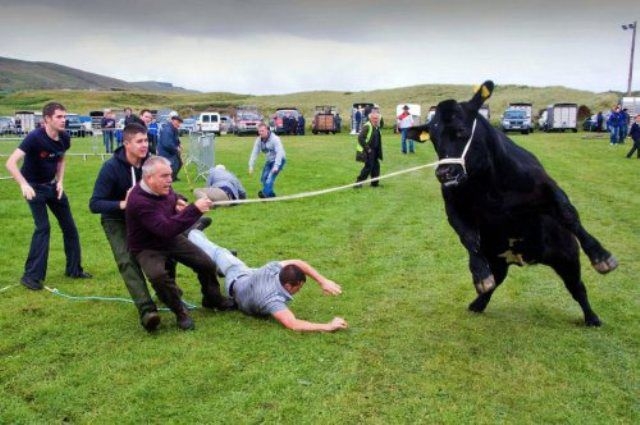Подборка неудач