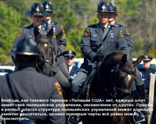 Интересное об американских копах