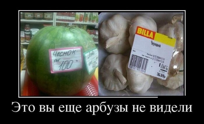 Демотивационные приколы