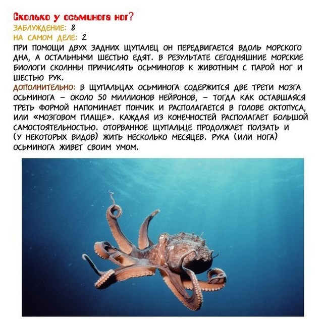 Разрушаем неправдивые мифы