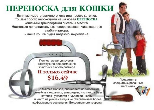 Креативная переноска для котов