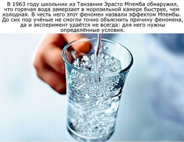 Интересные новые познавательные факты