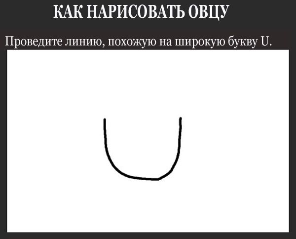 Как нарисовать овцу: инструкция для начинающих художников