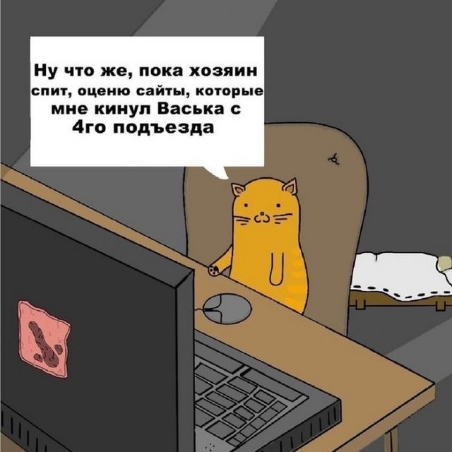 Чем занимается ваш котэ?