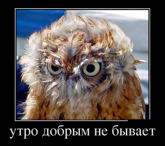 Крутые демотиваторы