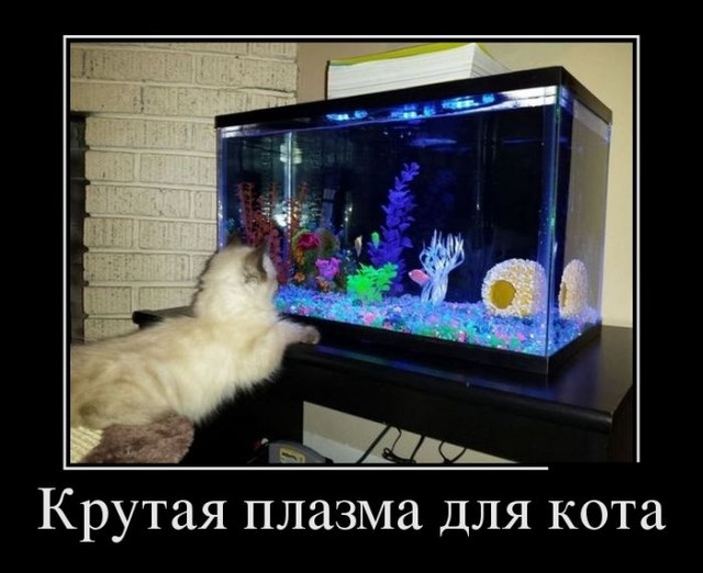 Сборник прикольных демотивационных картинок