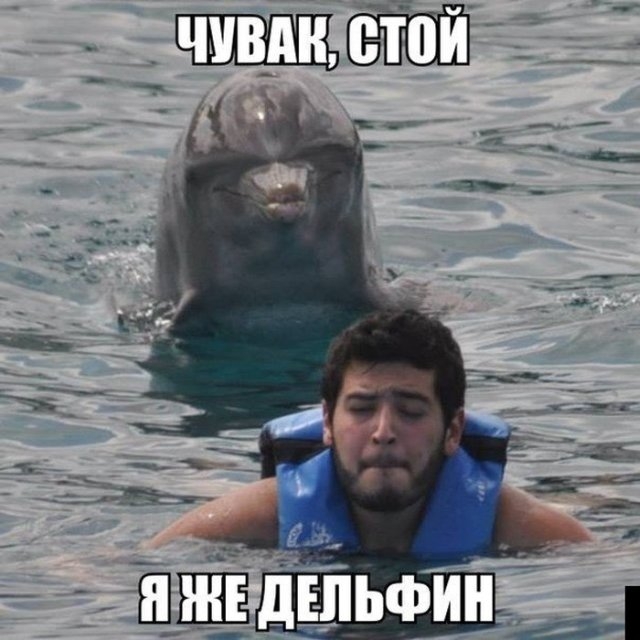 Порция отличного настроения в подборке картинок