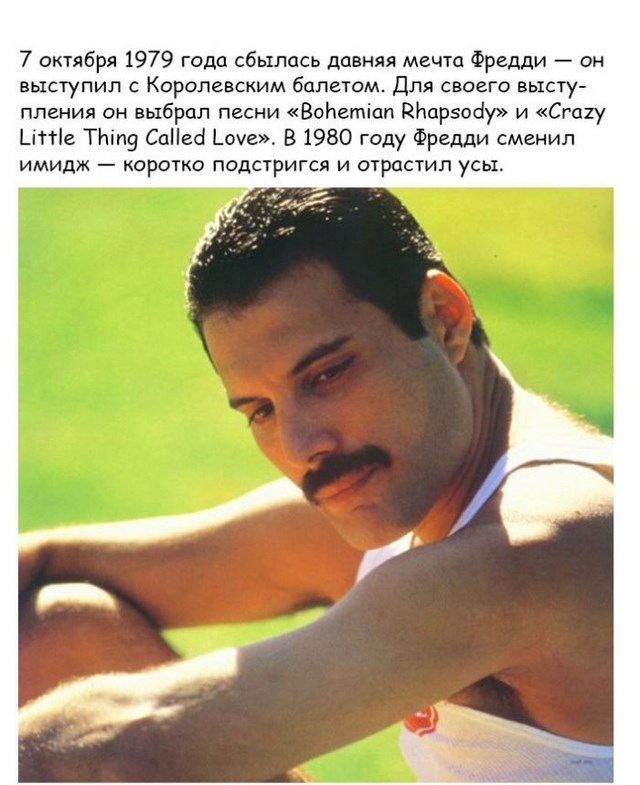 О талантливом певце Фредди Меркьюри