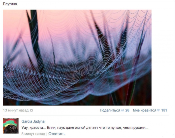 Смешные комментарии из социальных сетей