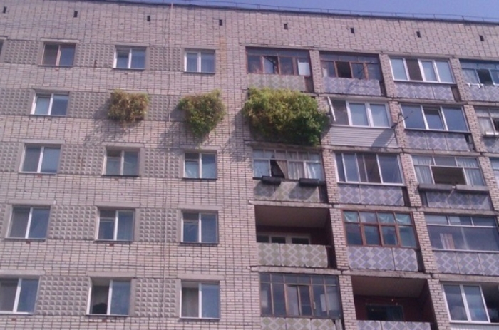 Переборщили с травкой