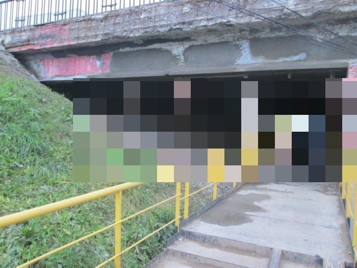 Химкинский маразм по дороге в Шереметево