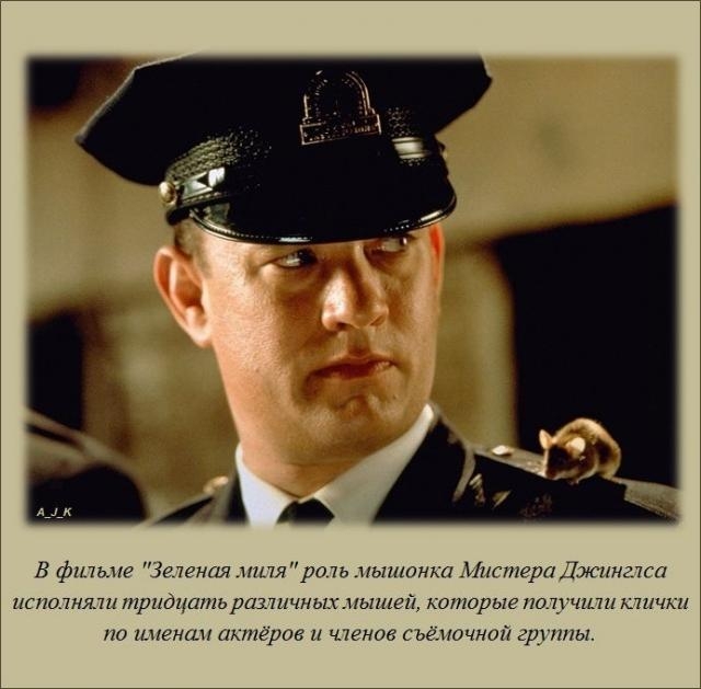 Интересные факты обо всем