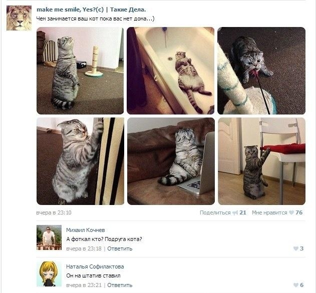 Прикольные комментарии из социальных сетей