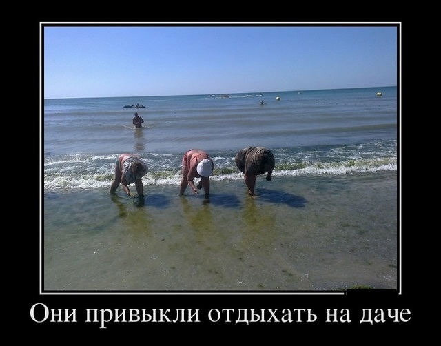 Сборник прикольных демотивационных картинок