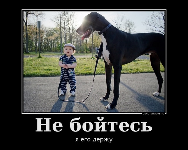 Сборник прикольных демотивационных картинок
