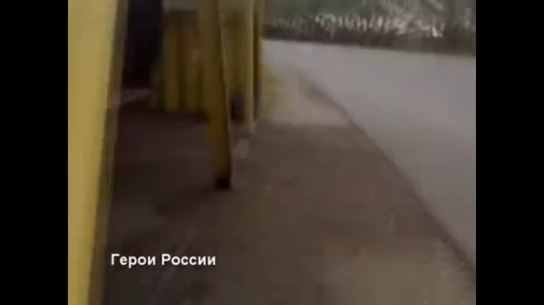 Смышленый гаишник играет в прятки