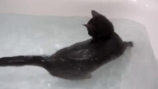 Котэ, который не тонет