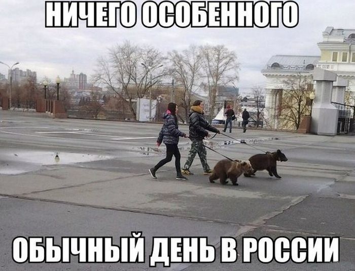 Классная коллекция ежедневных фотоприколов и красивых фото