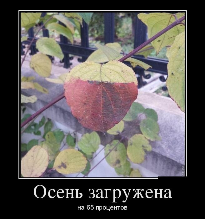 Сборник прикольных демотивационных картинок