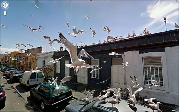 Красивые фотографии с Google Street View