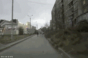 Два неадеквата разбили стекло