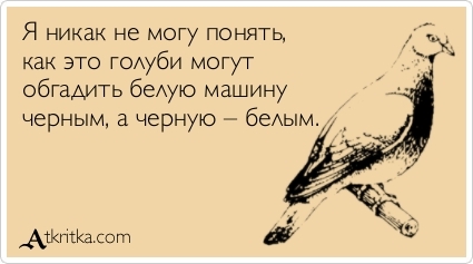 Прикольные "аткрытки" с забавными фразочками