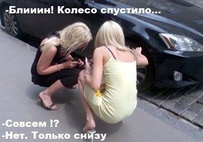Новые автомобильные приколы