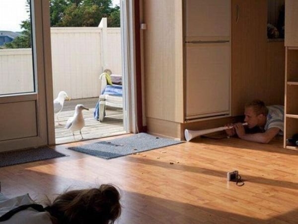 Коллекция прикольных фотографий из серии "за секунду до…"