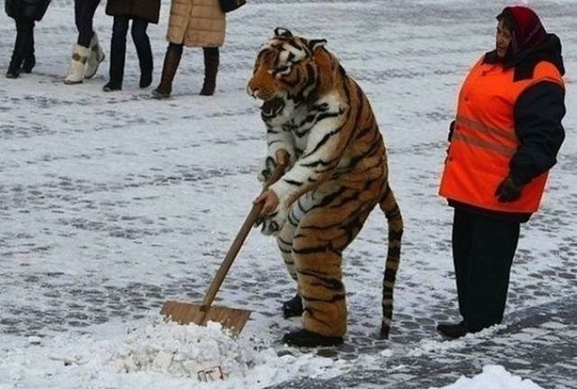Классная подборка фотографий о нашей России и жизни в ней