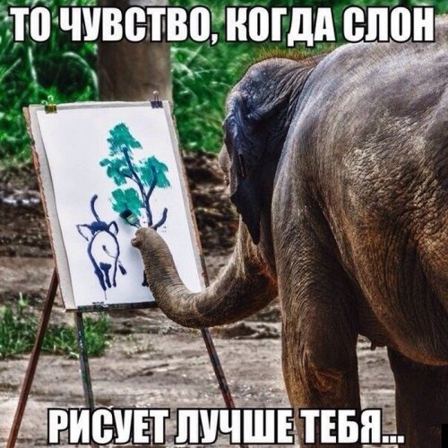 Сегодняшние приколы