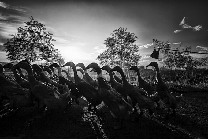 Новые фотографии с фотоконкурса National Geographic