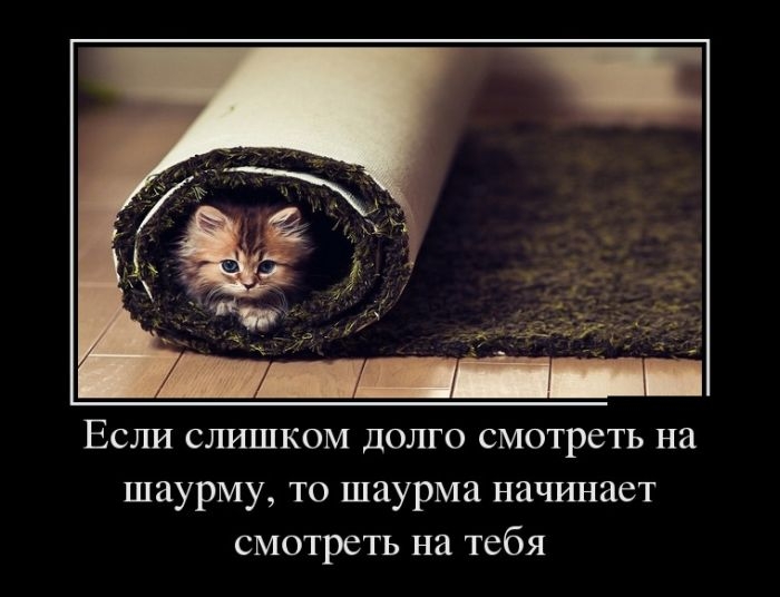 Новые демотиваторы
