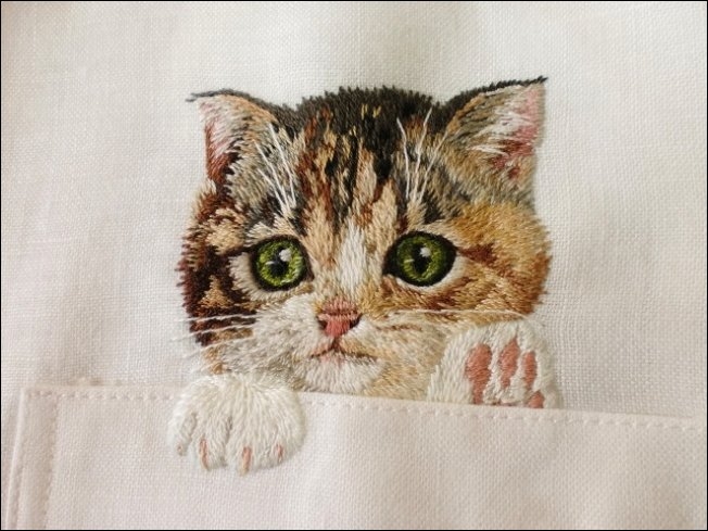 Прикольные карманные котята