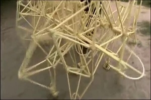 Удивительная машина из трубок, которой управляет ветер